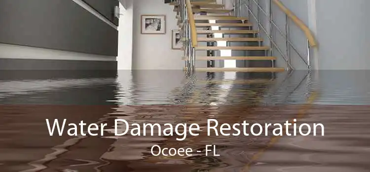 Water Damage Restoration Ocoee - FL