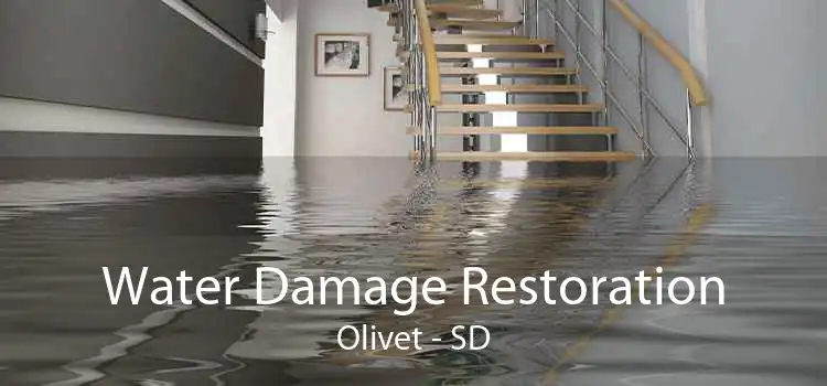 Water Damage Restoration Olivet - SD