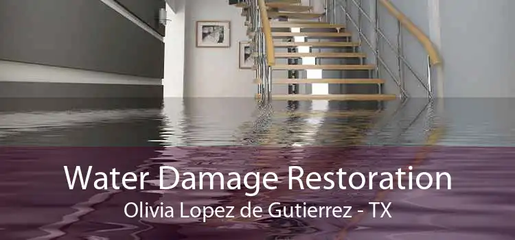 Water Damage Restoration Olivia Lopez de Gutierrez - TX