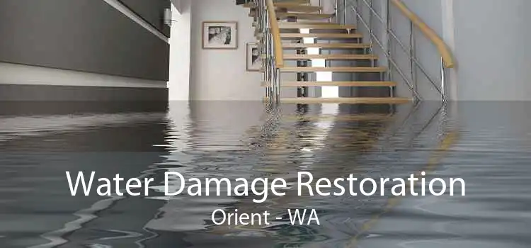 Water Damage Restoration Orient - WA