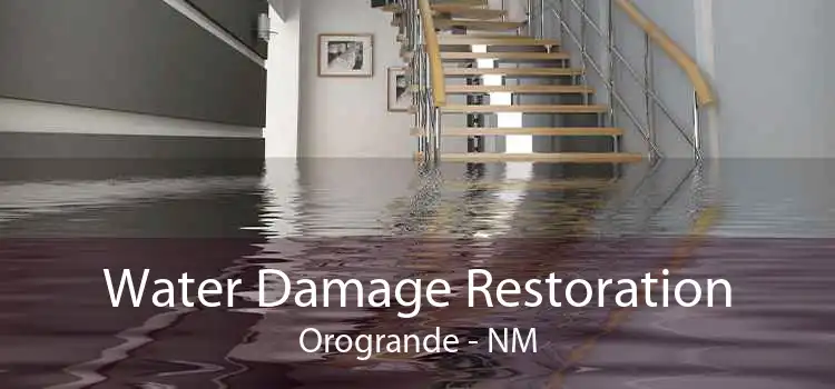 Water Damage Restoration Orogrande - NM
