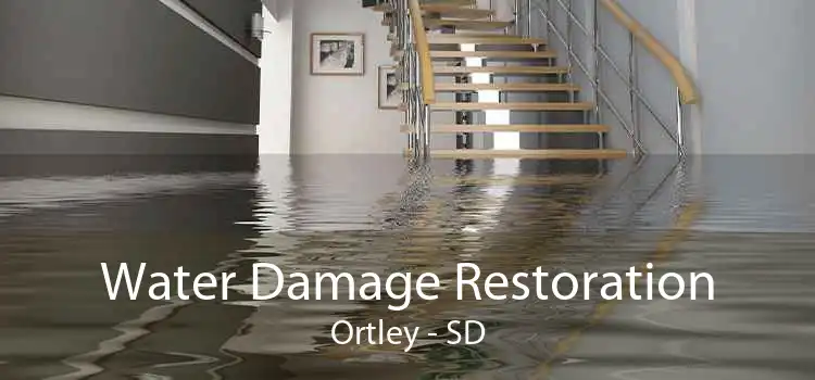 Water Damage Restoration Ortley - SD