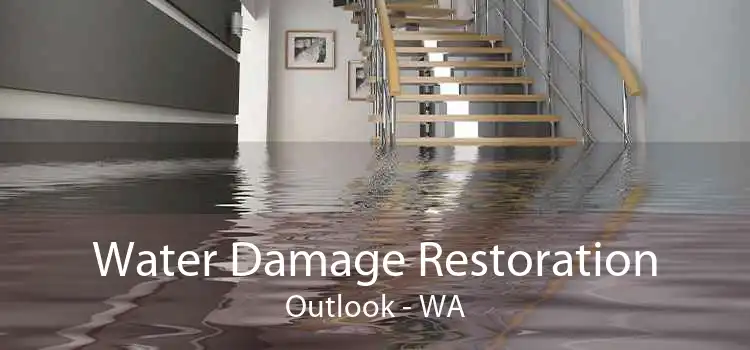 Water Damage Restoration Outlook - WA