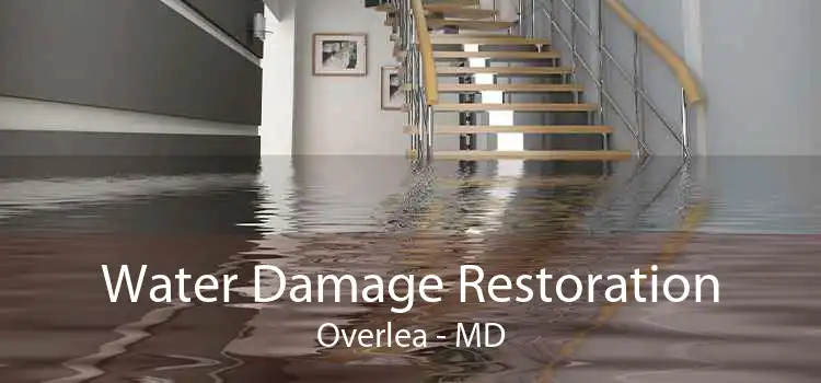 Water Damage Restoration Overlea - MD