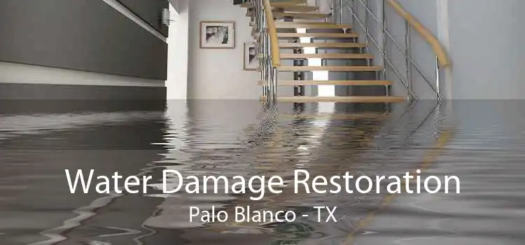 Water Damage Restoration Palo Blanco - TX