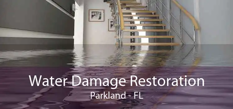 Water Damage Restoration Parkland - FL