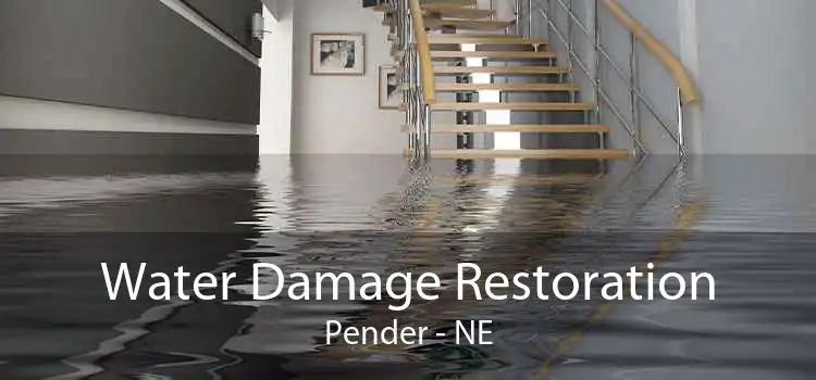 Water Damage Restoration Pender - NE