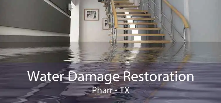Water Damage Restoration Pharr - TX