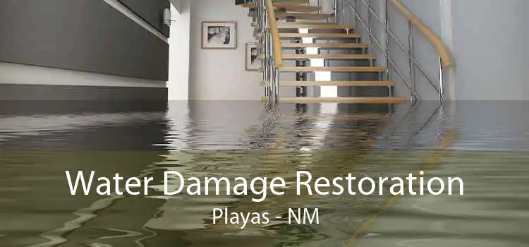 Water Damage Restoration Playas - NM