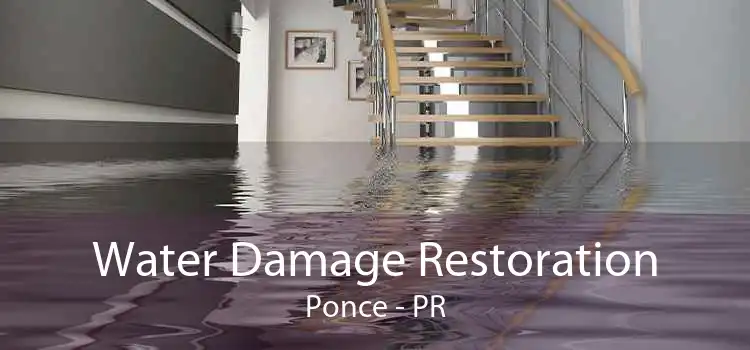 Water Damage Restoration Ponce - PR