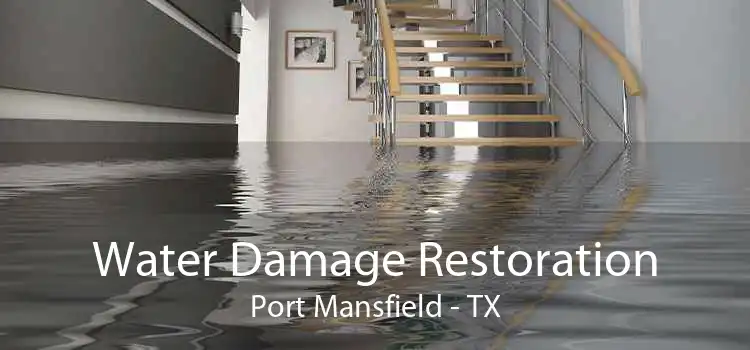 Water Damage Restoration Port Mansfield - TX