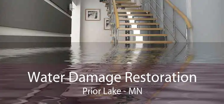 Water Damage Restoration Prior Lake - MN