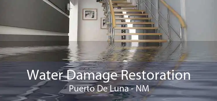 Water Damage Restoration Puerto De Luna - NM