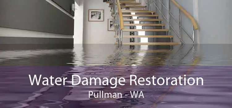 Water Damage Restoration Pullman - WA