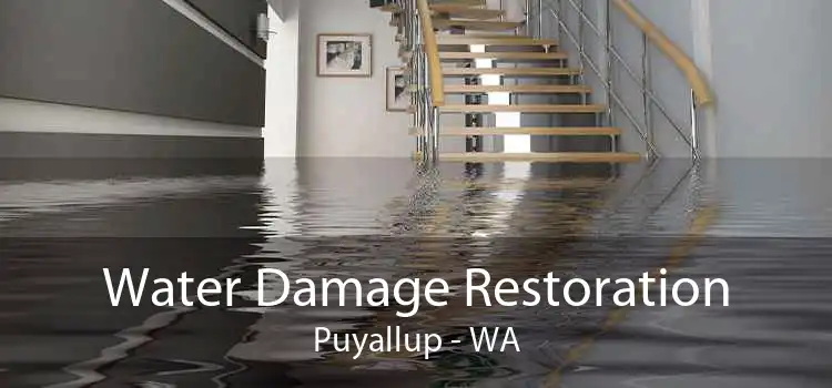 Water Damage Restoration Puyallup - WA