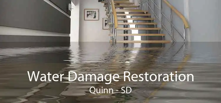 Water Damage Restoration Quinn - SD
