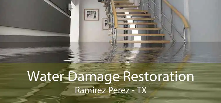 Water Damage Restoration Ramirez Perez - TX