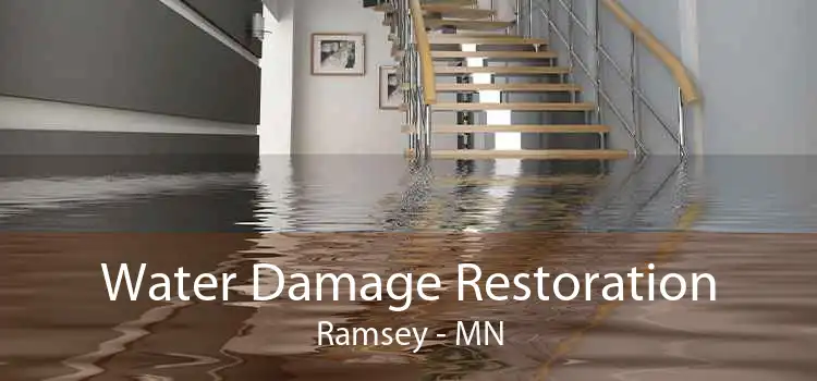 Water Damage Restoration Ramsey - MN