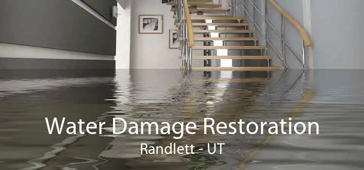 Water Damage Restoration Randlett - UT