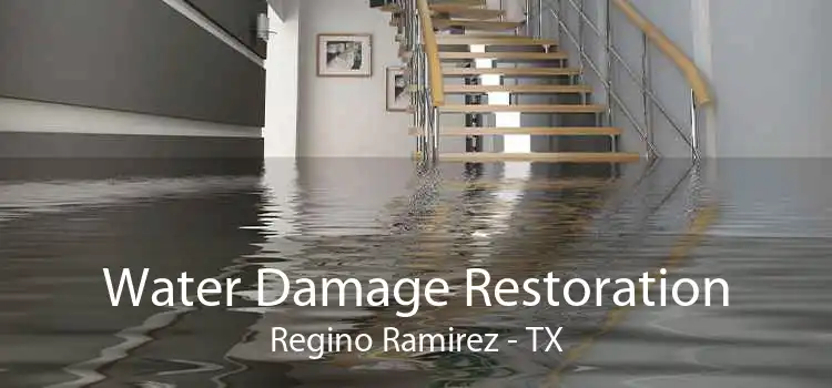 Water Damage Restoration Regino Ramirez - TX