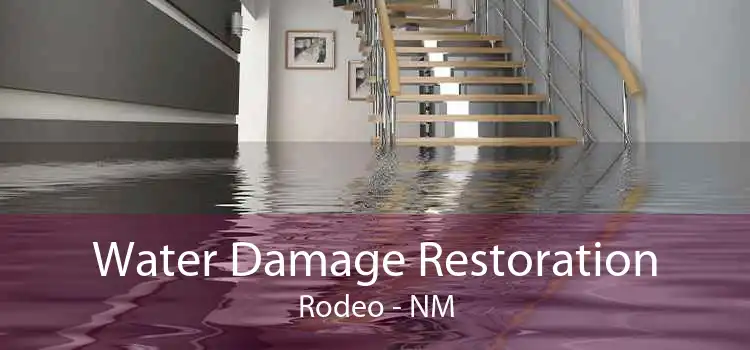 Water Damage Restoration Rodeo - NM