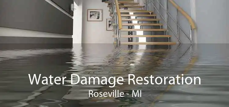 Water Damage Restoration Roseville - MI