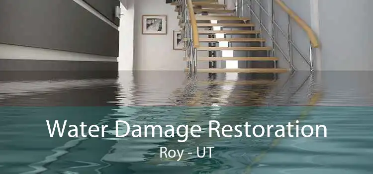 Water Damage Restoration Roy - UT
