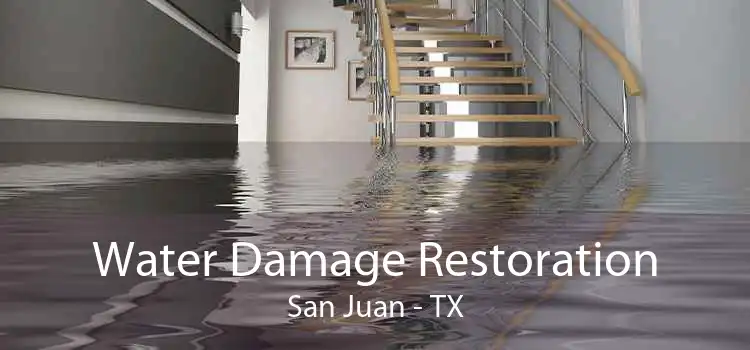 Water Damage Restoration San Juan - TX