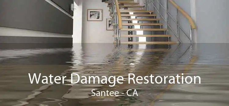 Water Damage Restoration Santee - CA