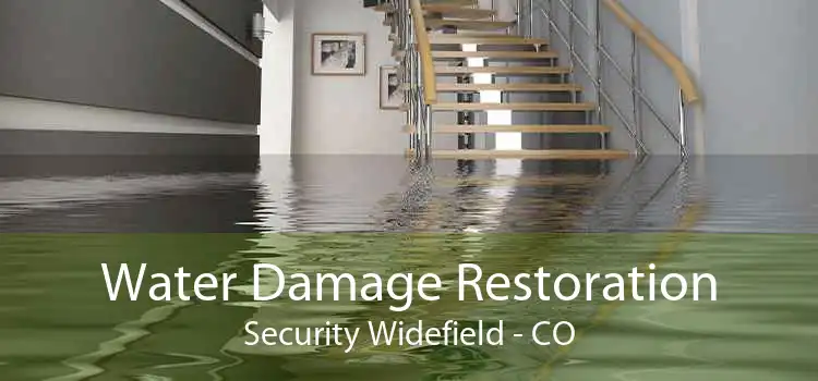 Water Damage Restoration Security Widefield - CO