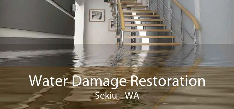 Water Damage Restoration Sekiu - WA