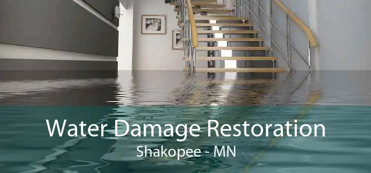 Water Damage Restoration Shakopee - MN