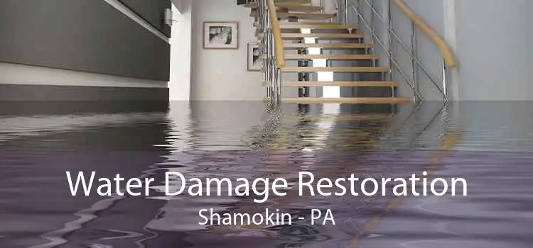 Water Damage Restoration Shamokin - PA