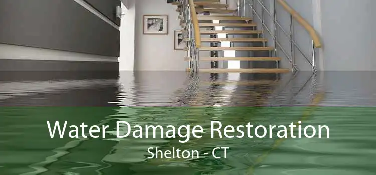Water Damage Restoration Shelton - CT