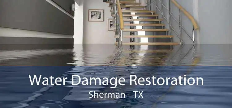 Water Damage Restoration Sherman - TX