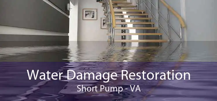 Water Damage Restoration Short Pump - VA