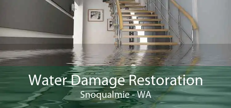 Water Damage Restoration Snoqualmie - WA