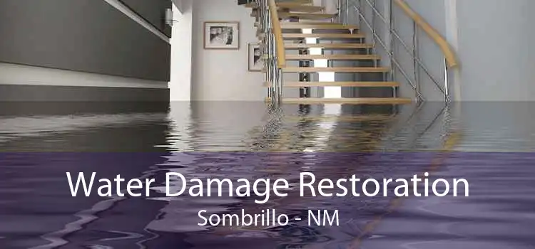 Water Damage Restoration Sombrillo - NM