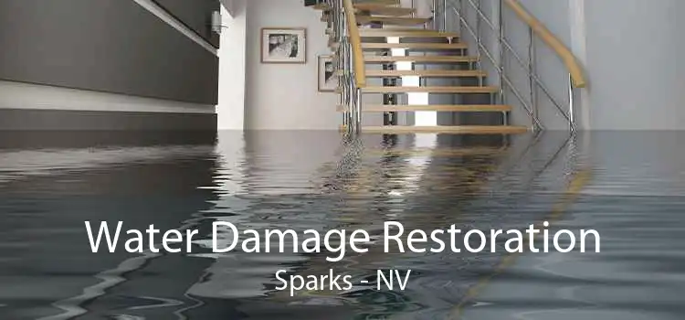 Water Damage Restoration Sparks - NV