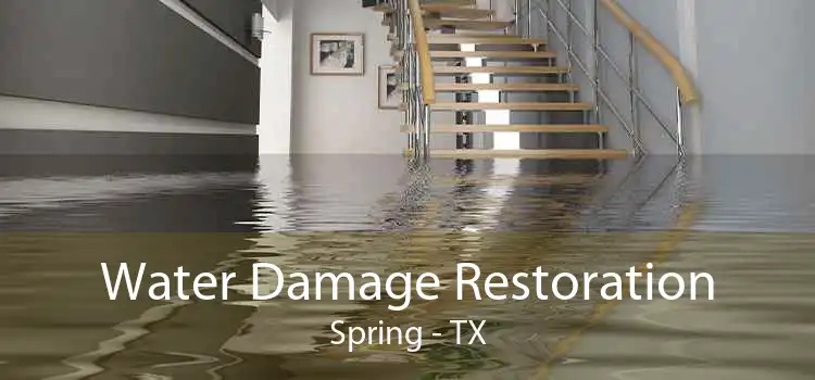 Water Damage Restoration Spring - TX
