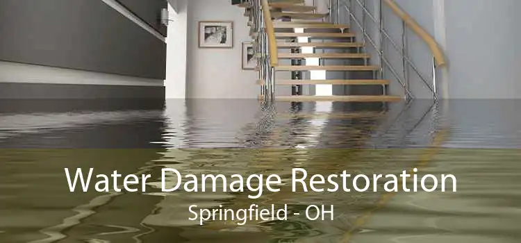 Water Damage Restoration Springfield - OH