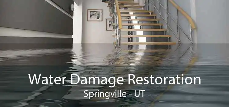 Water Damage Restoration Springville - UT