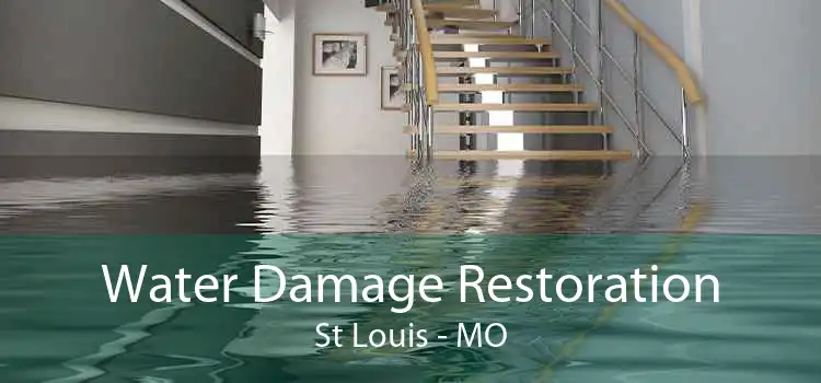 Water Damage Restoration St Louis - MO