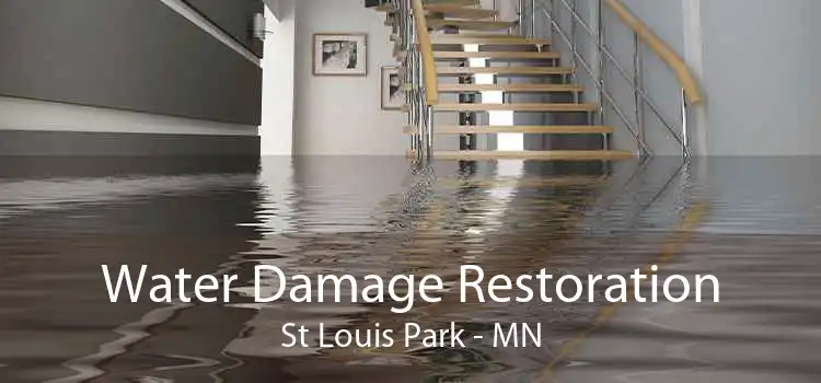 Water Damage Restoration St Louis Park - MN