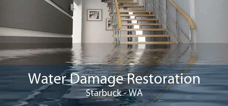 Water Damage Restoration Starbuck - WA