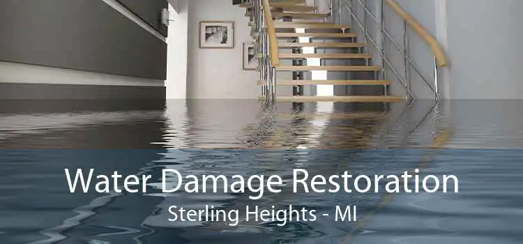 Water Damage Restoration Sterling Heights - MI