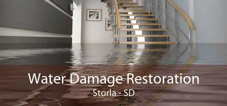Water Damage Restoration Storla - SD