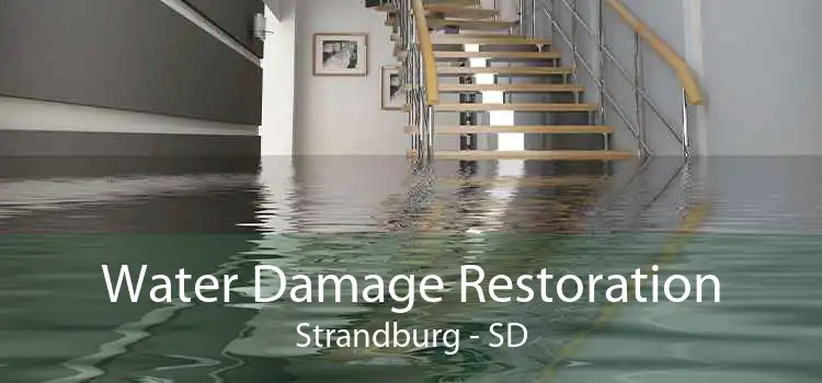 Water Damage Restoration Strandburg - SD
