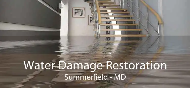 Water Damage Restoration Summerfield - MD