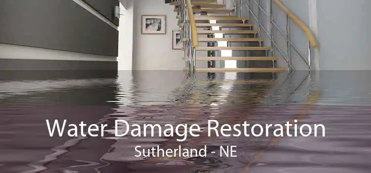 Water Damage Restoration Sutherland - NE